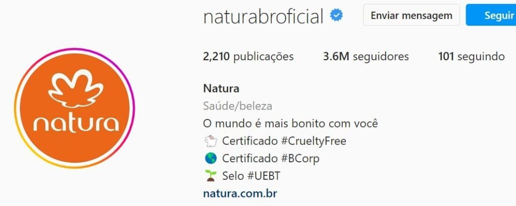 Confira nosso guia completo para otimizar sua Bio do Instagram 4 Exemplo de bio do instagram